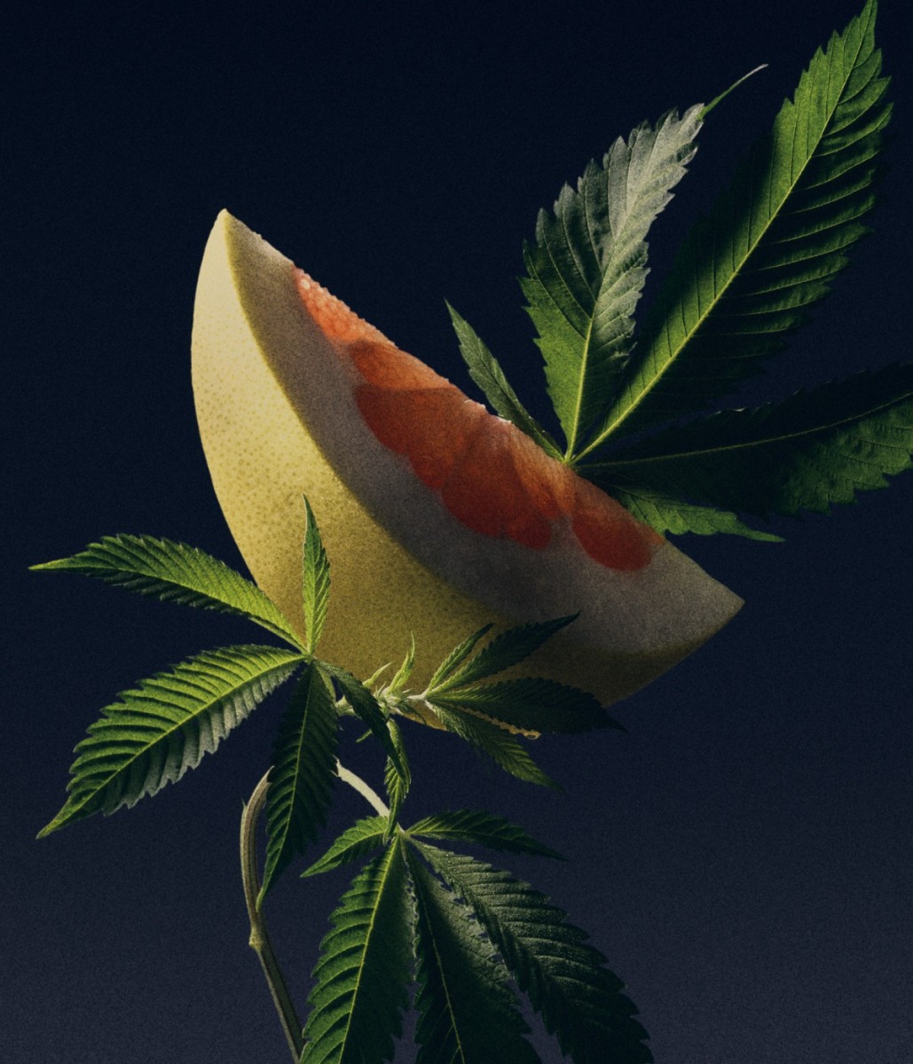 Scent Pyramids